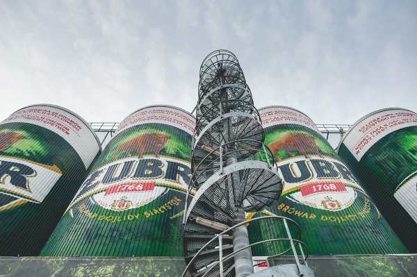 Żubr — photo