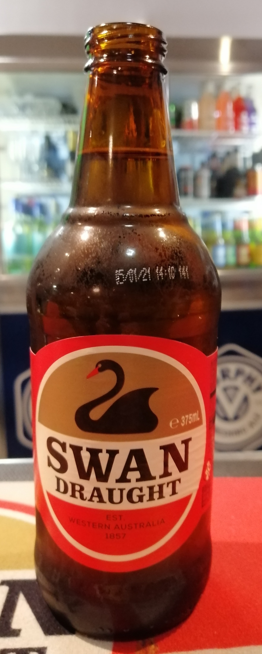 Swan — photo