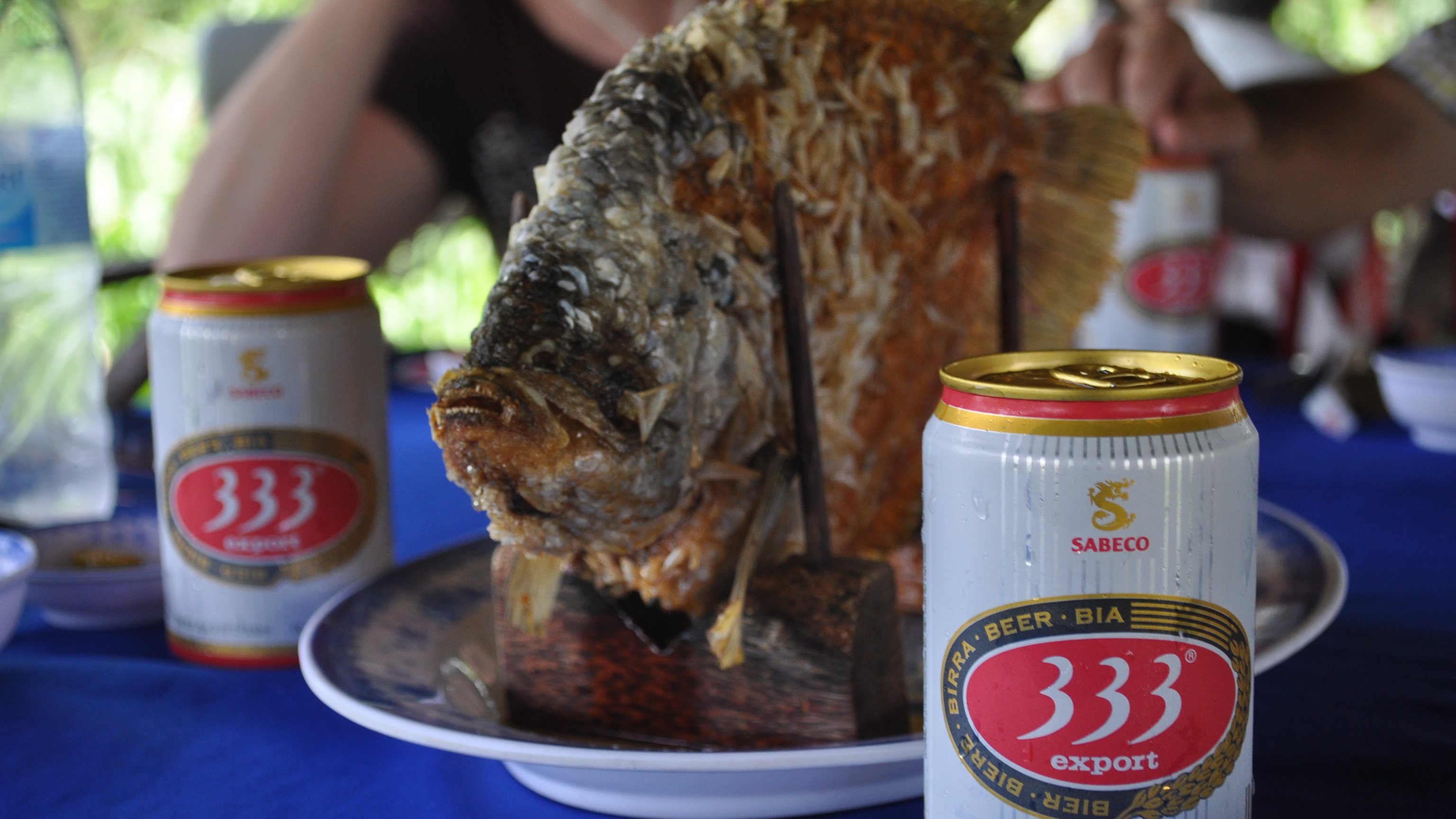 Two cans of 333 Export beer framing a whole fried elephant ear fish at a Mekong Delta lunch table, Vietnam